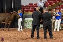 2A9A6275-30947 2A9A6275-30947