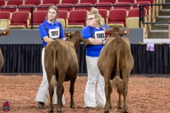 2A9A6283-30949 2A9A6283-30949