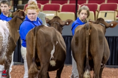 2A9A6284-30950 2A9A6284-30950