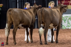 2A9A6285-30951 2A9A6285-30951