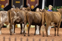 2A9A6286-30952 2A9A6286-30952