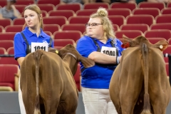 2A9A6287-30953 2A9A6287-30953