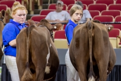 2A9A6290-30954 2A9A6290-30954