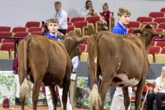 2A9A6291-30955 2A9A6291-30955