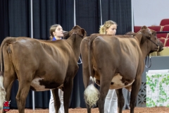 2A9A6293-30956 2A9A6293-30956