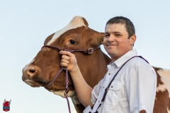 2A9A7960-31753 2A9A7960-31753