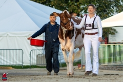 2A9A7962-31754 2A9A7962-31754