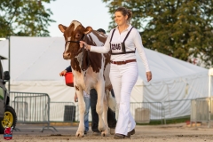 2A9A7965-31755 2A9A7965-31755