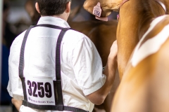 2A9A7981-31761 2A9A7981-31761