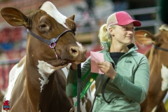 2A9A7984-31762 2A9A7984-31762