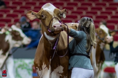 2A9A7989-31764 2A9A7989-31764