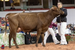 2A9A7991-31765 2A9A7991-31765