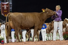 2A9A7993-31766 2A9A7993-31766