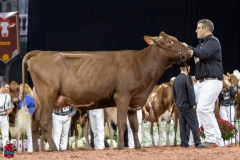 2A9A7995-31767 2A9A7995-31767