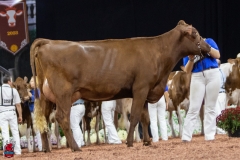 2A9A8001-31769 2A9A8001-31769