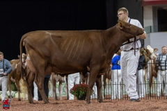 2A9A8007-31770 2A9A8007-31770