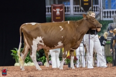 2A9A8008-31771 2A9A8008-31771