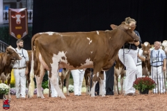 2A9A8013-31773 2A9A8013-31773