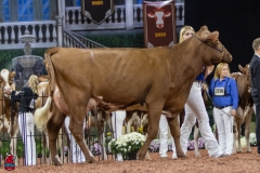 2A9A8015-31774 2A9A8015-31774