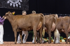 2A9A8022-31775 2A9A8022-31775