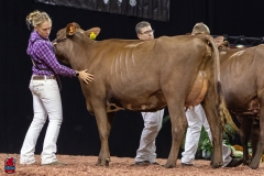 2A9A8024-31776 2A9A8024-31776