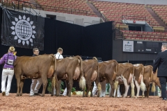 2A9A8026-31777 2A9A8026-31777