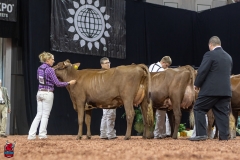 2A9A8029-31778 2A9A8029-31778