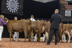 2A9A8036-31779 2A9A8036-31779