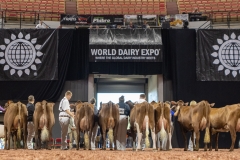 2A9A8042-31781 2A9A8042-31781