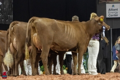 2A9A8060-31786 2A9A8060-31786