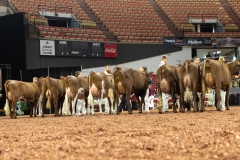 2A9A8070-31787 2A9A8070-31787