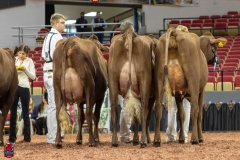 2A9A8071-31788 2A9A8071-31788