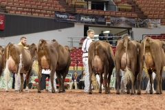 2A9A8072-31789 2A9A8072-31789