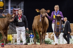 2A9A8087-31792 2A9A8087-31792