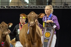 2A9A8090-31793 2A9A8090-31793