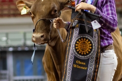 2A9A8095-31795 2A9A8095-31795