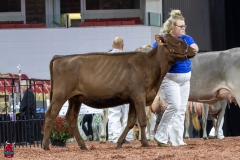 2A9A5448-30393 2A9A5448-30393