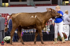 2A9A5451-30394 2A9A5451-30394