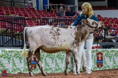 2A9A5453-30395 2A9A5453-30395