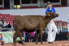 2A9A5456-30396 2A9A5456-30396