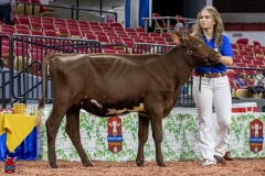 2A9A5458-30397 2A9A5458-30397