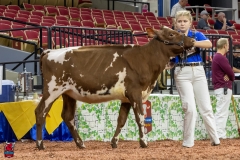 2A9A5461-30398 2A9A5461-30398