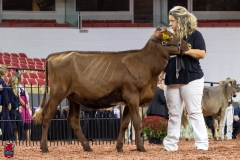 2A9A5464-30399 2A9A5464-30399