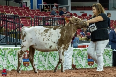 2A9A5465-30400 2A9A5465-30400