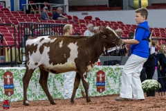 2A9A5467-30401 2A9A5467-30401