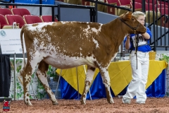 2A9A5468-30402 2A9A5468-30402