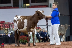 2A9A5472-30403 2A9A5472-30403