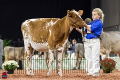 2A9A5480-30407 2A9A5480-30407