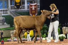 2A9A5481-30408 2A9A5481-30408