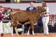 2A9A5484-30409 2A9A5484-30409